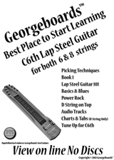 Beginner's Combo Lap Steel Guitar Lessons Online